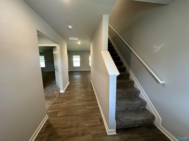 stairs with hardwood / wood-style flooring