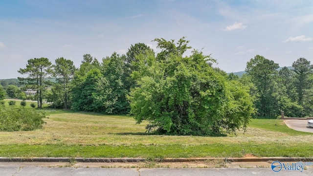 121 Maverick Dr, Harvest AL, 35749 land for sale