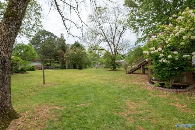 222 Lakewood Dr, Scottsboro, AL 35769 - view of yard with stairway