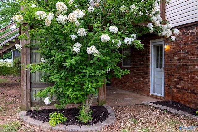 222 Lakewood Dr, Scottsboro, AL 35769 - view of yard