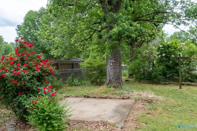 222 Lakewood Dr, Scottsboro, AL 35769 - view of yard with fence and a patio area