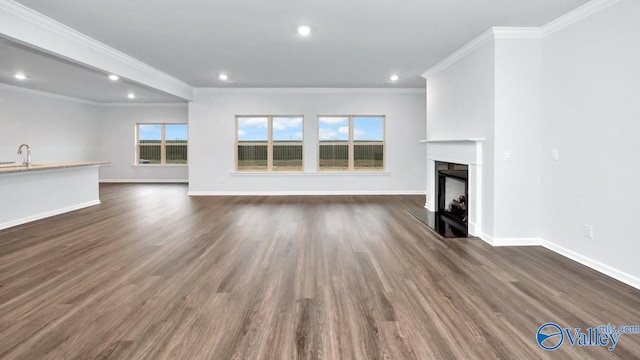 unfurnished living room with sink, crown molding, and dark wood-type flooring