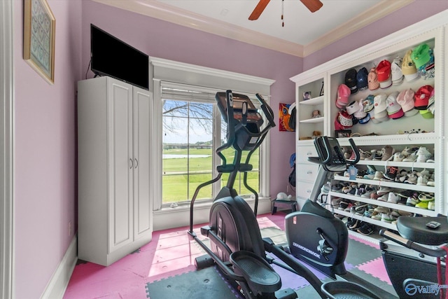 24051 Piney Creek Dr, Athens, AL 35613 - exercise area featuring a ceiling fan, a healthy amount of sunlight, and ornamental molding