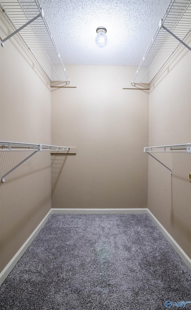 walk in closet with carpet flooring