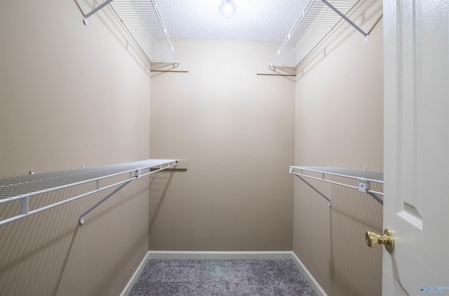 spacious closet featuring carpet