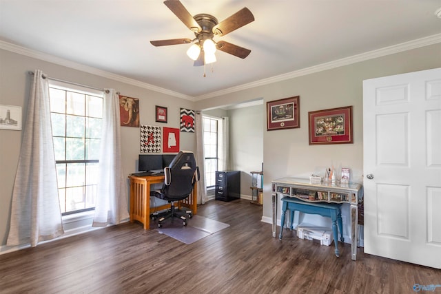 home office featuring ceiling fan, dark hardwood / wood-style flooring, and ornamental molding