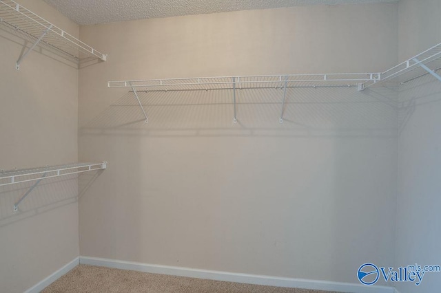 spacious closet with carpet floors