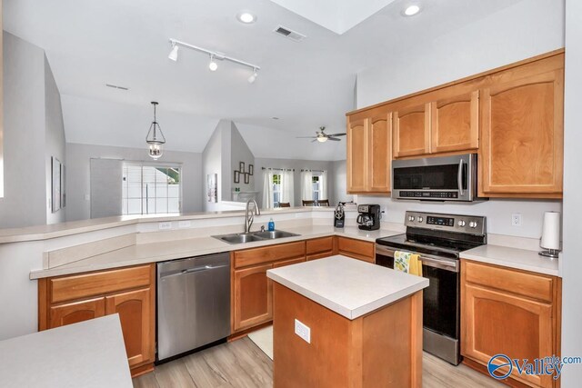 110 SW Cotton Bend Dr, Huntsville, AL 35824 - kitchen with stainless steel appliances, a sink, plenty of natural light, a peninsula, and lofted ceiling