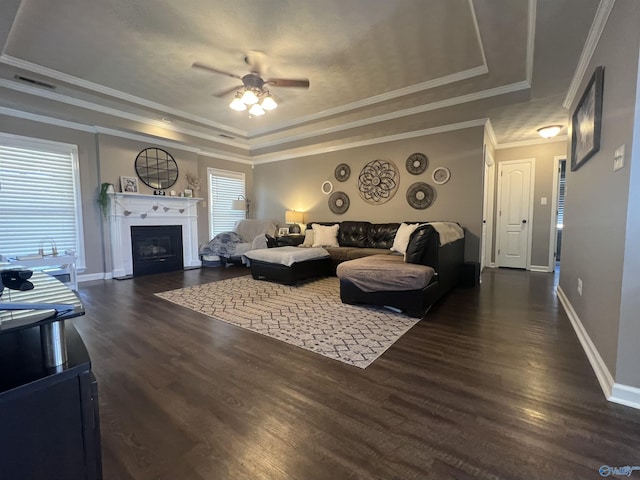 living area featuring baseboards, a raised ceiling, and dark wood finished floors