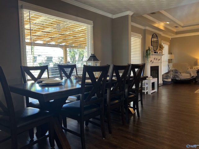 dining room with a glass covered fireplace, wood finished floors, a tray ceiling, and ornamental molding