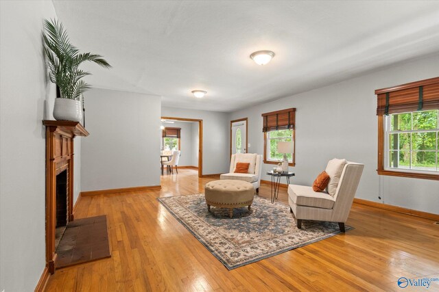 living room with light hardwood / wood-style floors and a fireplace