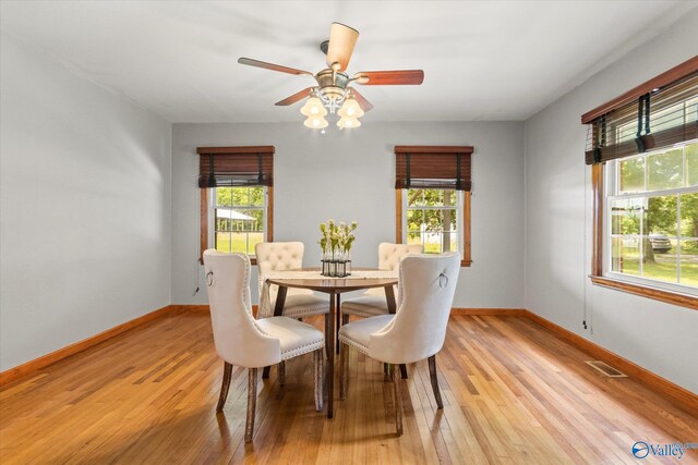 dining area with ceiling fan, light hardwood / wood-style flooring, and a healthy amount of sunlight