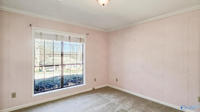 carpeted empty room with ornamental molding and baseboards