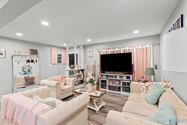 living room with wood-type flooring