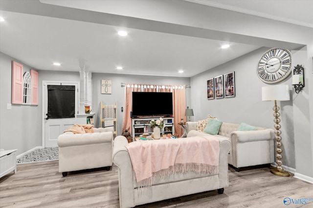 living room featuring light hardwood / wood-style flooring