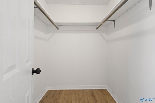 spacious closet with wood finished floors