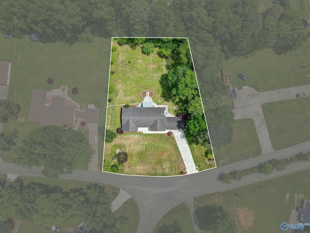 bird's eye view