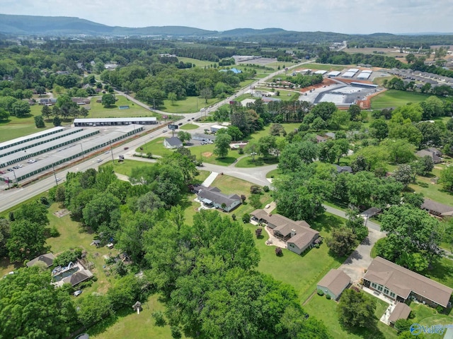 bird's eye view