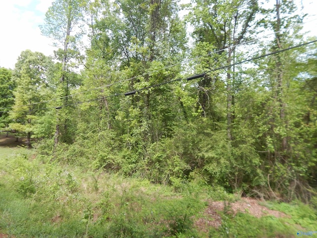 51ACRES Rita St, Southside AL, 35907 land for sale