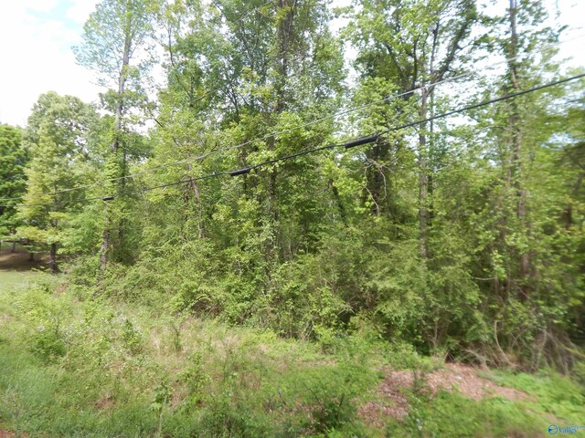 51ACRES Rita St, Southside AL, 35907 land for sale