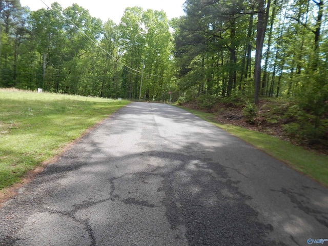 Listing photo 2 for 51ACRES Rita St, Southside AL 35907