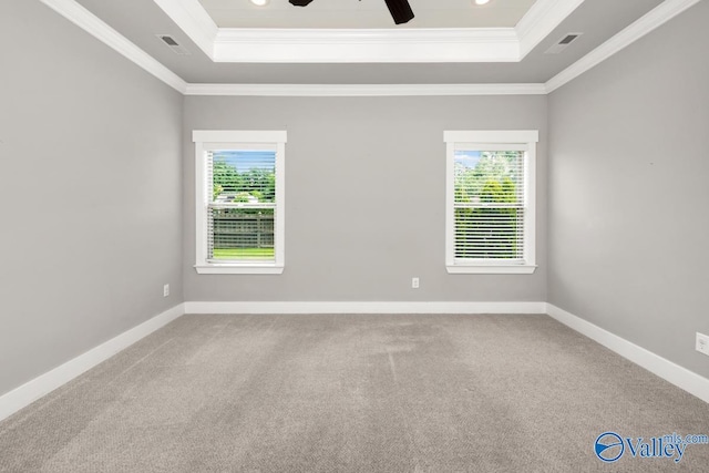 unfurnished room featuring a raised ceiling, plenty of natural light, and crown molding