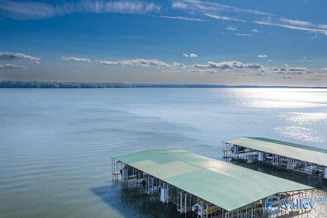 5590 Bay Hill Dr Unit 303, Athens, AL 35611 - dock area featuring a water view