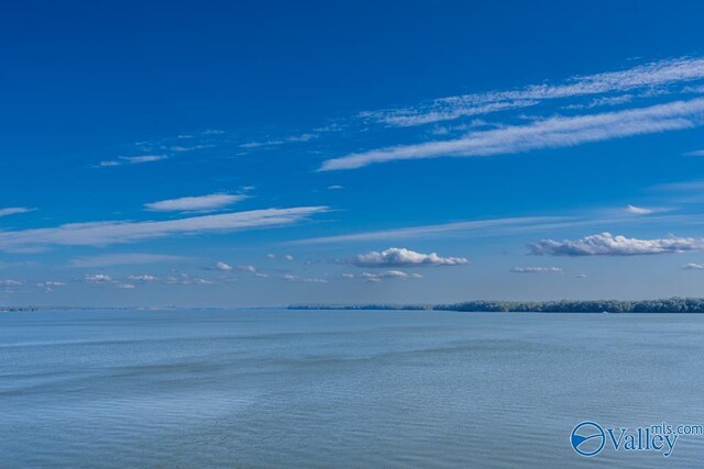 5590 Bay Hill Dr Unit 303, Athens, AL 35611 - water view