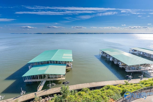 5590 Bay Hill Dr Unit 303, Athens, AL 35611 - dock with a water view