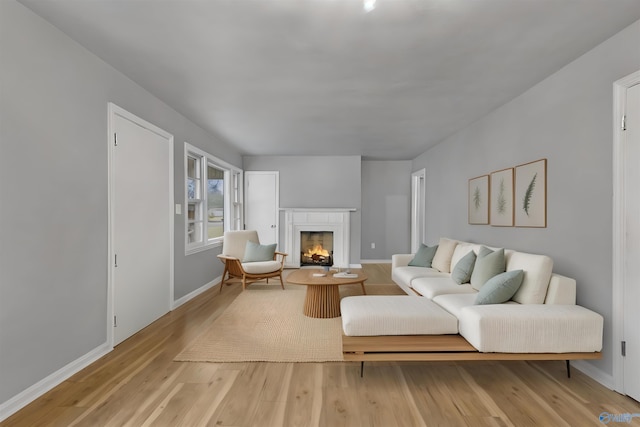 living room with light wood-type flooring