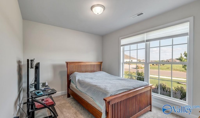 193 Cherry Laurel Dr, Hazel Green, AL 35750 - bedroom featuring carpet floors and baseboards
