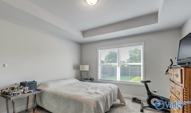 193 Cherry Laurel Dr, Hazel Green, AL 35750 - carpeted bedroom featuring baseboards and a tray ceiling