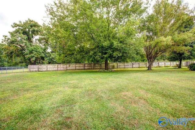25000 Union Hill Rd, Ardmore, TN 38449 - view of yard featuring fence