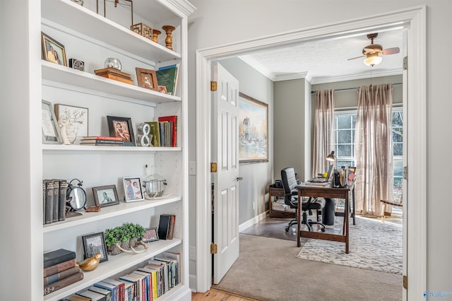 office space with baseboards, carpet flooring, a ceiling fan, and crown molding