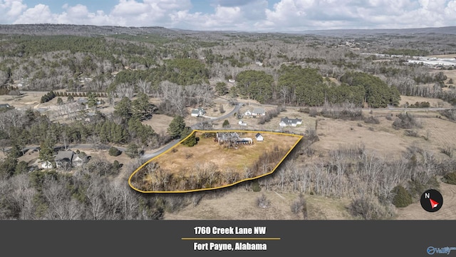 bird's eye view with a view of trees