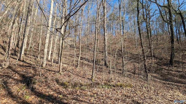 Listing photo 3 for LOT12 County Road 137, Cedar Bluff AL 35959