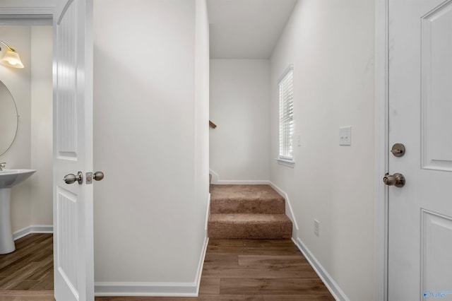 stairway with wood-type flooring