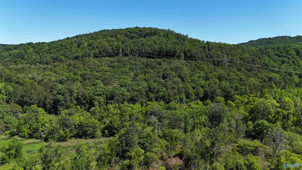415 Stewart Hollow Rd, Grant, AL 35747