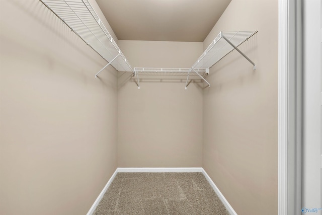 walk in closet with carpet