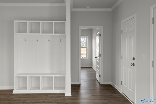 mudroom with crown molding and dark hardwood / wood-style flooring