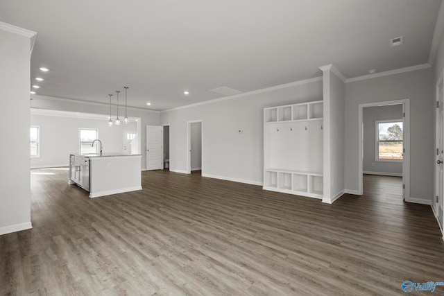 unfurnished living room featuring ornamental molding, sink, and dark wood-type flooring