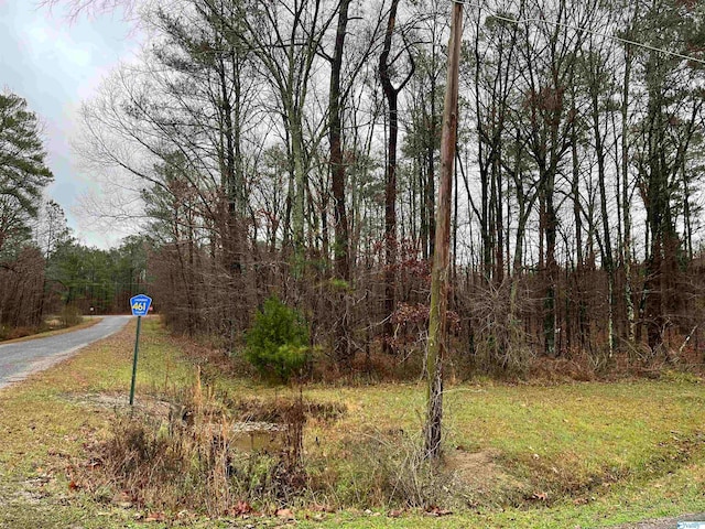 Listing photo 3 for LOT1BLK4 County Road 380, Centre AL 35960