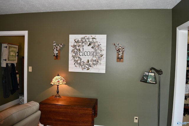 details with a textured ceiling