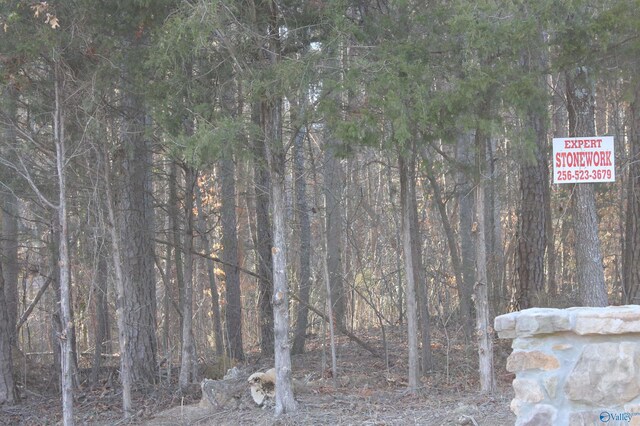 LOT8 Grand Ave, Fort Payne, AL 35967