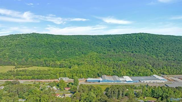 LOT8 Grand Ave, Fort Payne, AL 35967