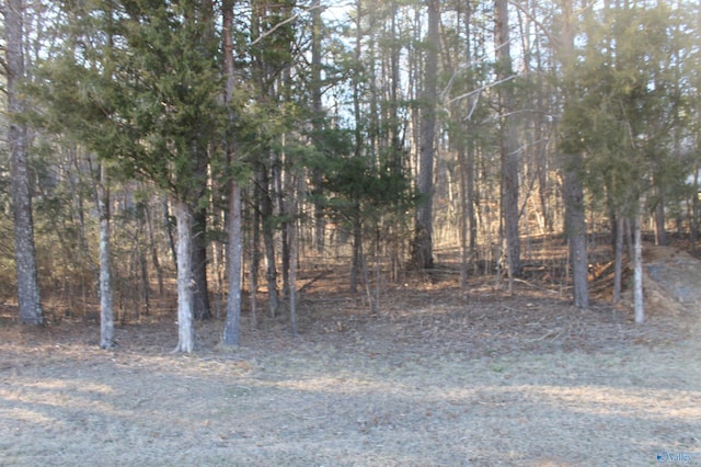 Listing photo 3 for LOT8 Grand Ave, Fort Payne AL 35967