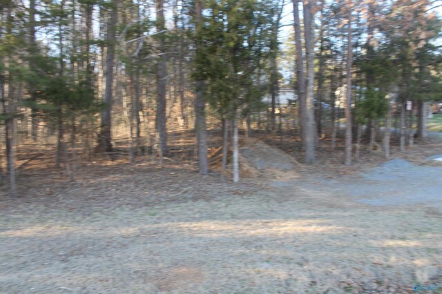 LOT8 Grand Ave, Fort Payne, AL 35967