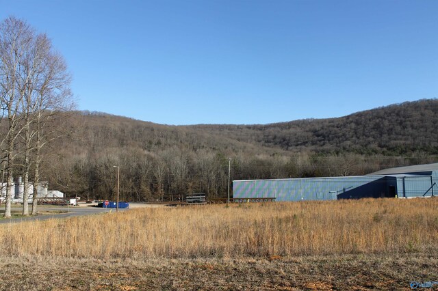 LOT8 Grand Ave, Fort Payne, AL 35967