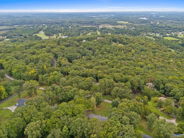 bird's eye view with a view of trees