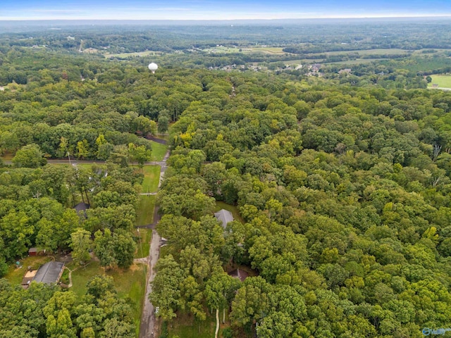 bird's eye view